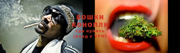 ГАЛЛЮЦИНОГЕННЫЕ ГРИБЫ Алексин