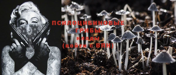 ГАЛЛЮЦИНОГЕННЫЕ ГРИБЫ Алексин