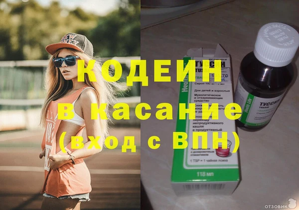 ГАЛЛЮЦИНОГЕННЫЕ ГРИБЫ Алексин