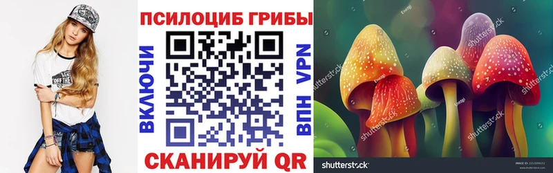Псилоцибиновые грибы MAGIC MUSHROOMS  Зуевка 